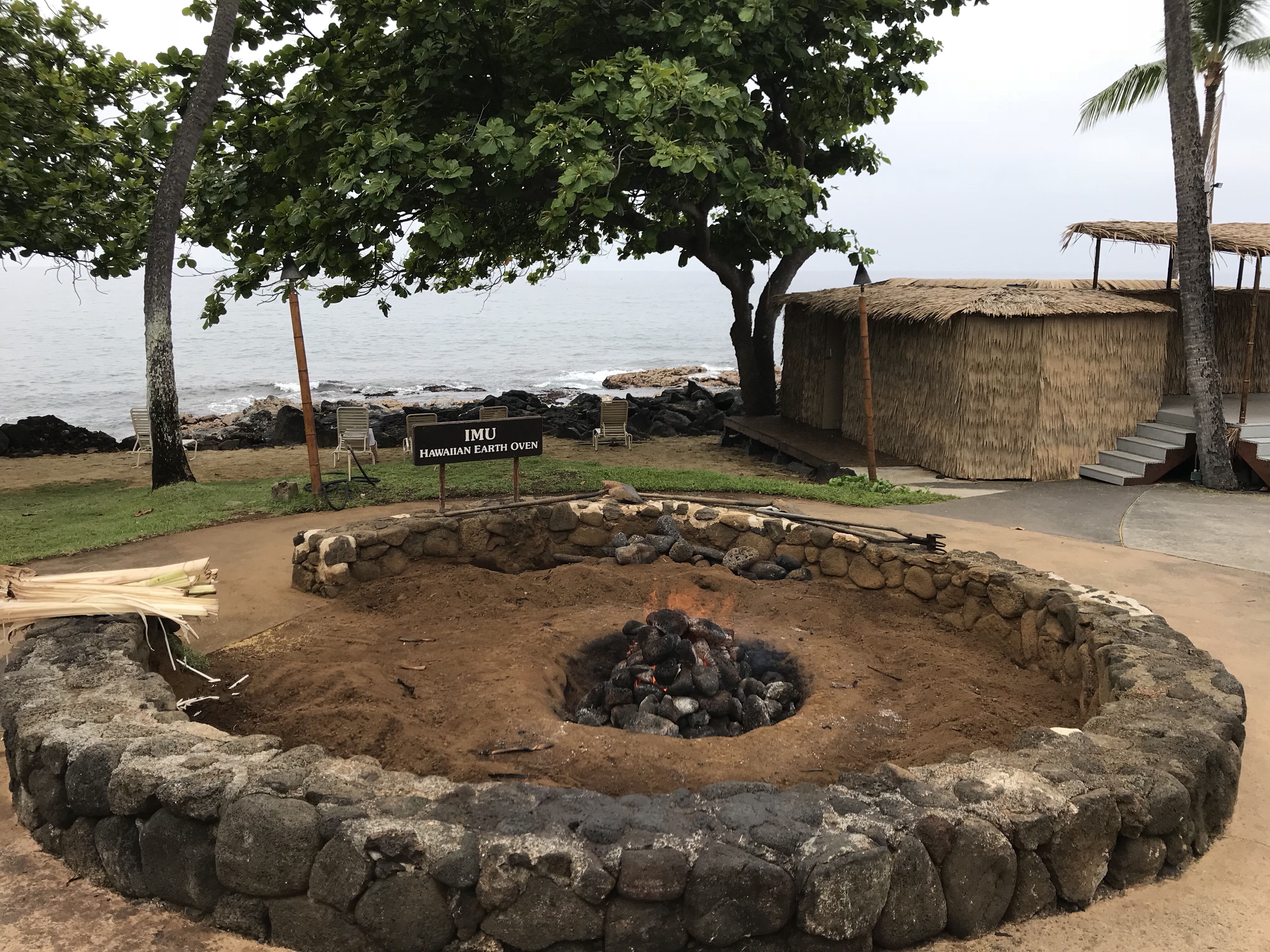 The story of a&nbsp;pig…