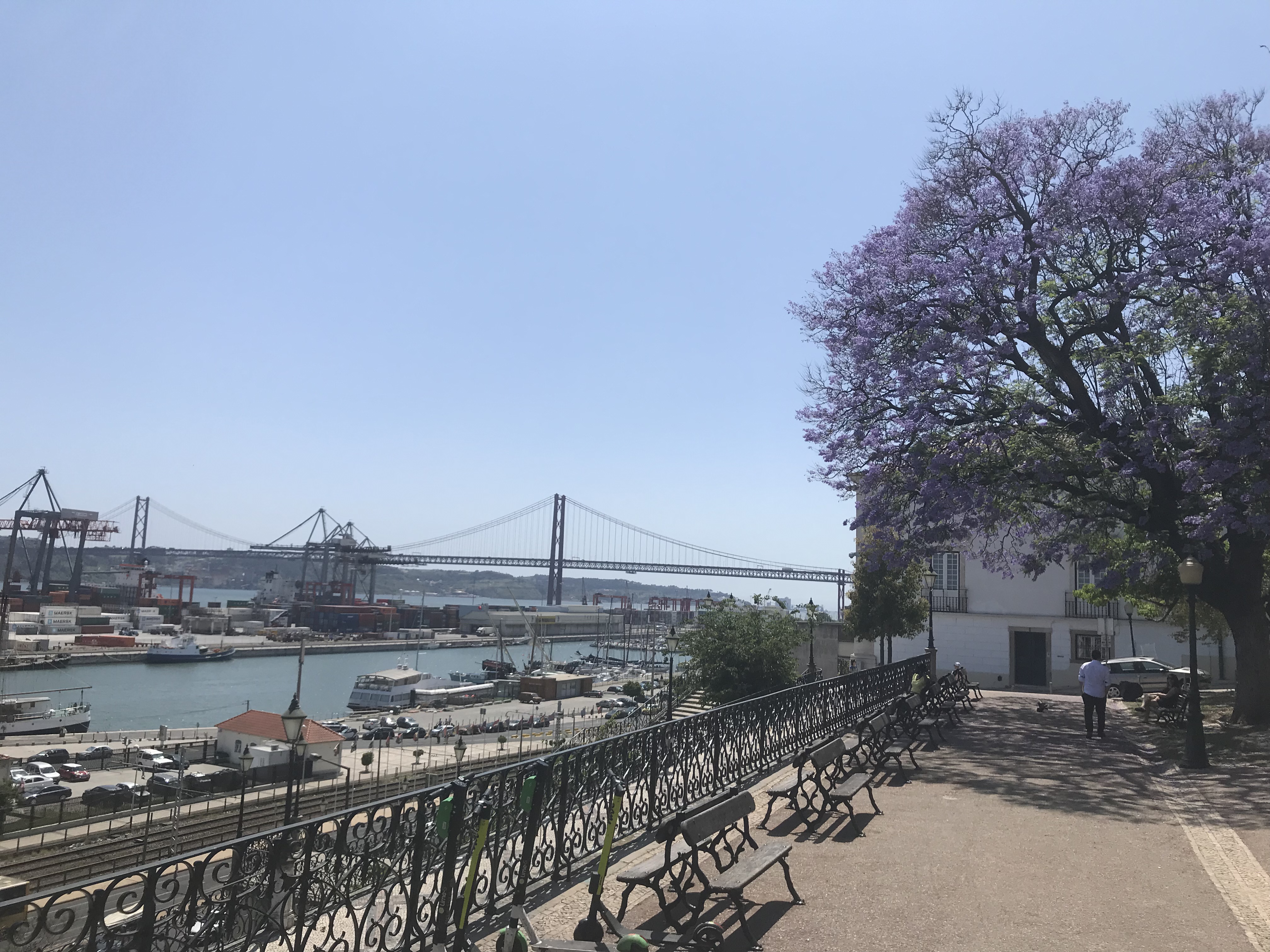 Lisbon’s Charm revealed