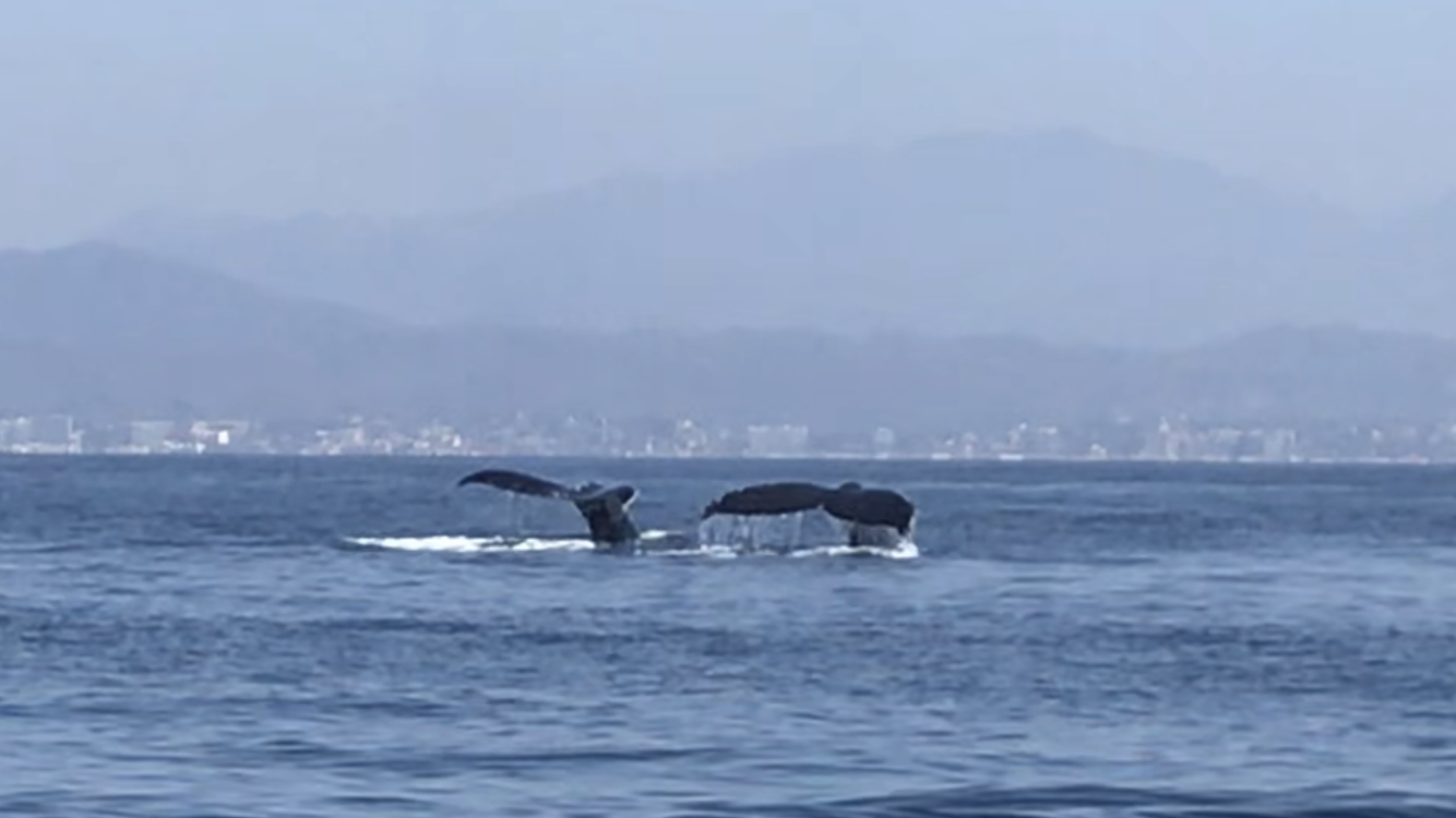 Crisis as an opportunity – part&nbsp;3