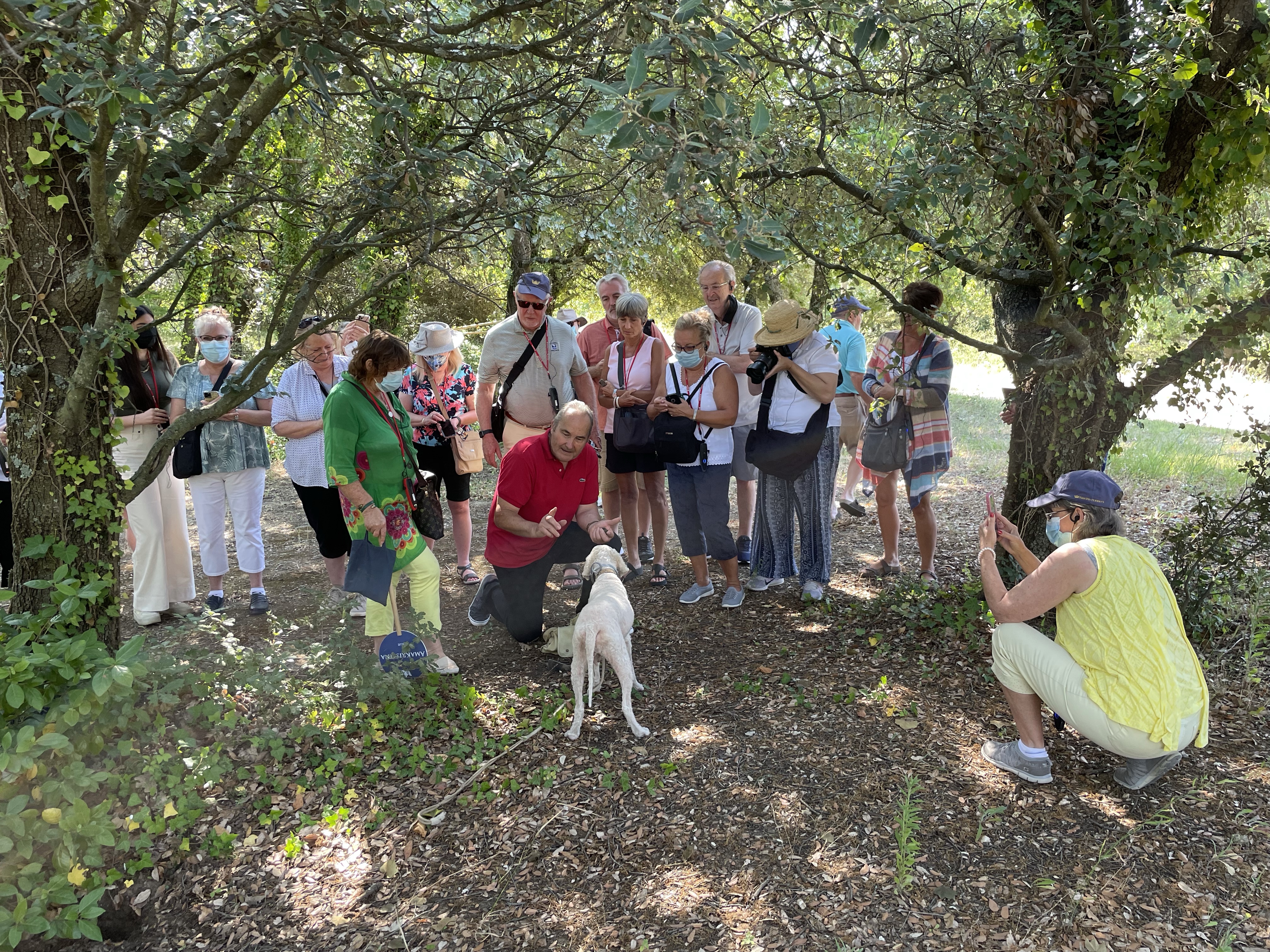 Colors of Provence – Grignan +&nbsp;Truffles