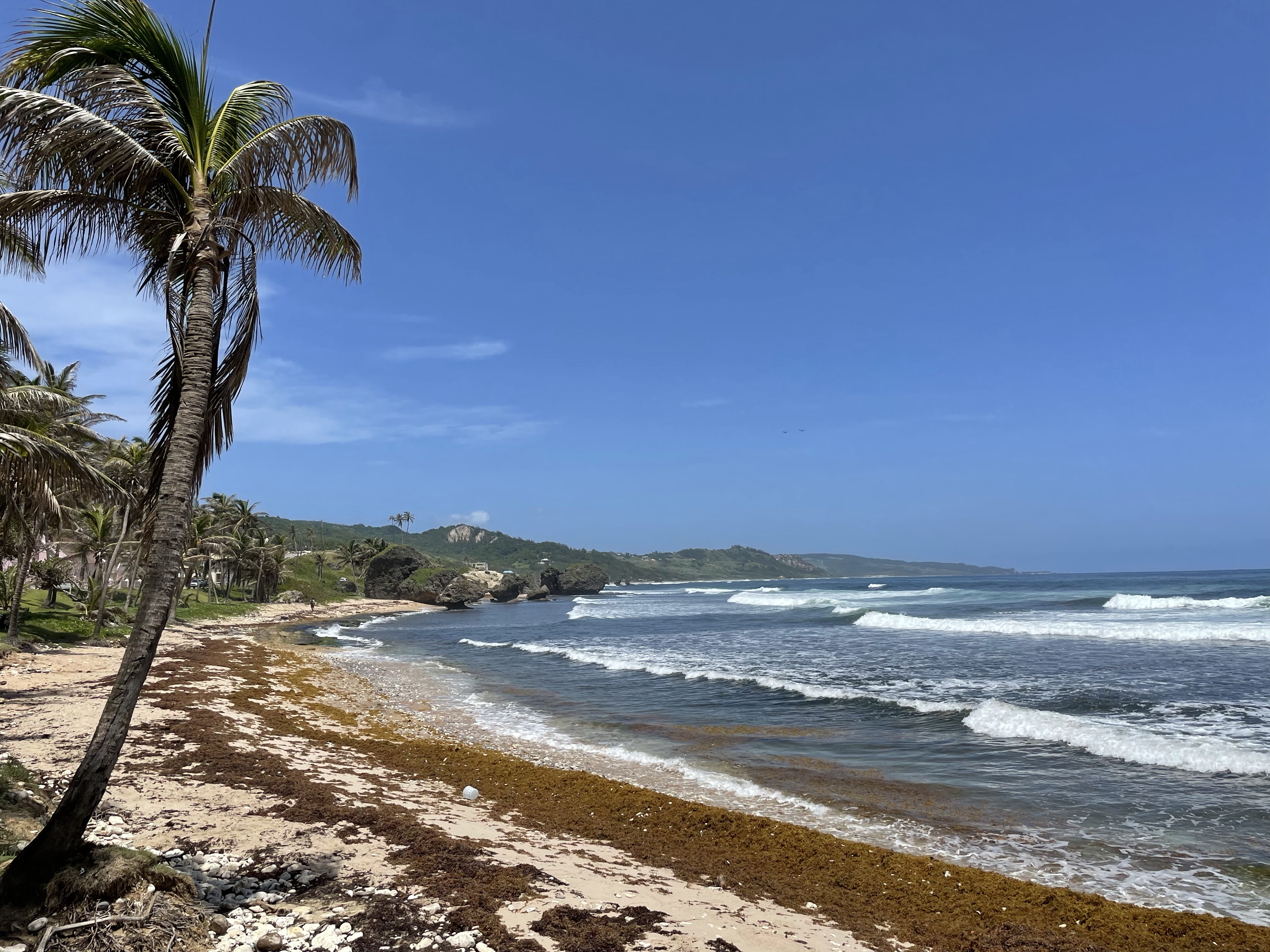 Caribbean Elevated – Discover&nbsp;Barbados