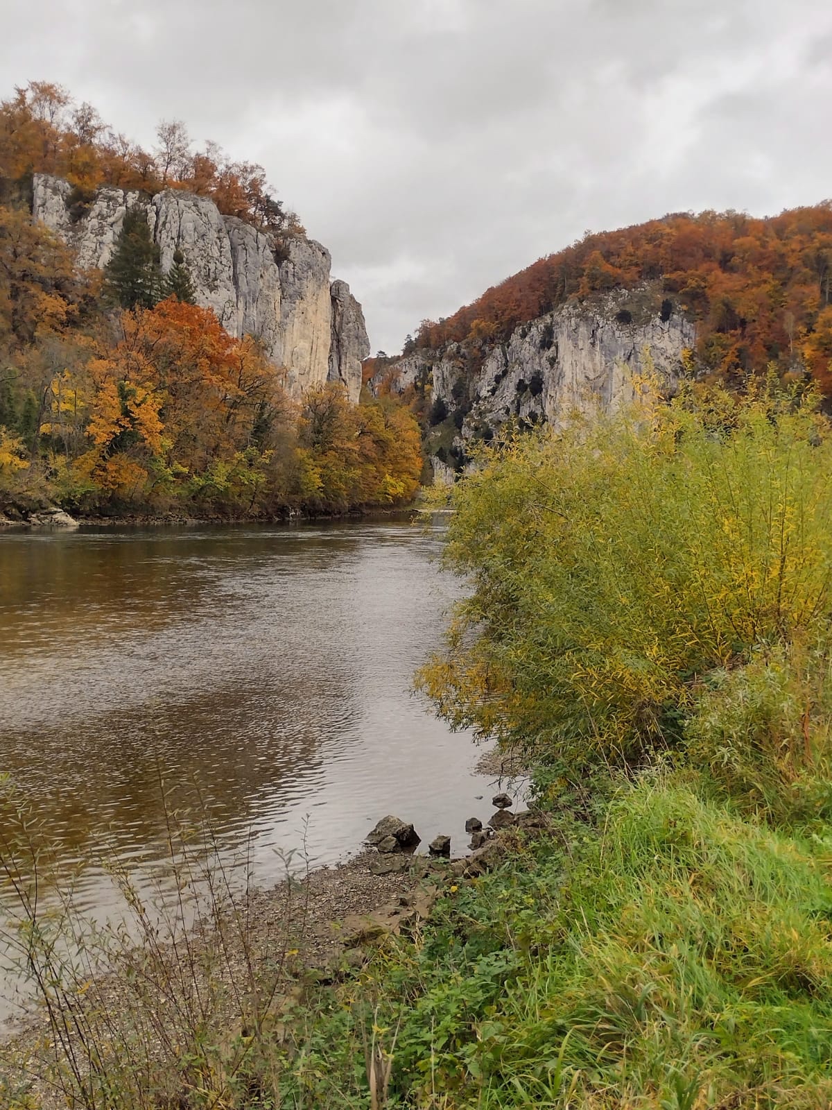 Foraging for mushrooms – what a&nbsp;treat