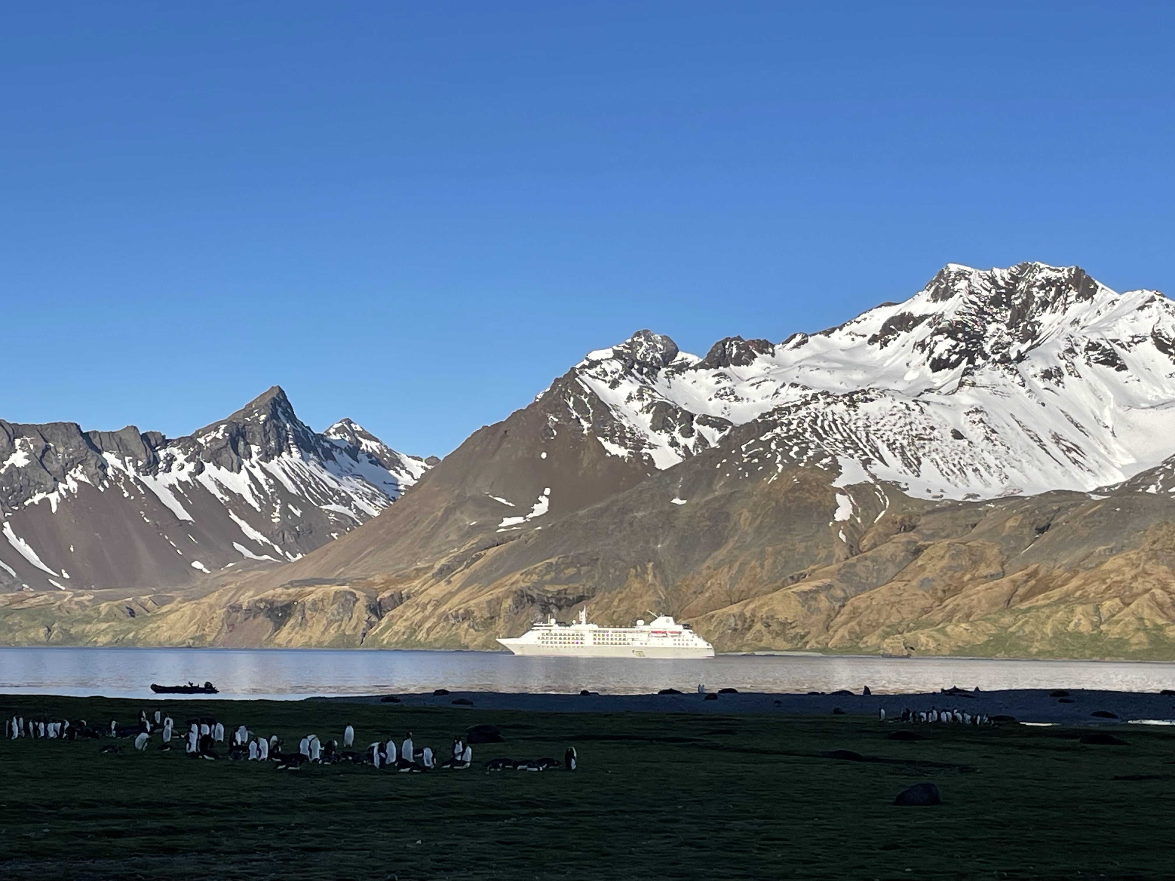 Antarctica reached – Yes, we are still&nbsp;alive