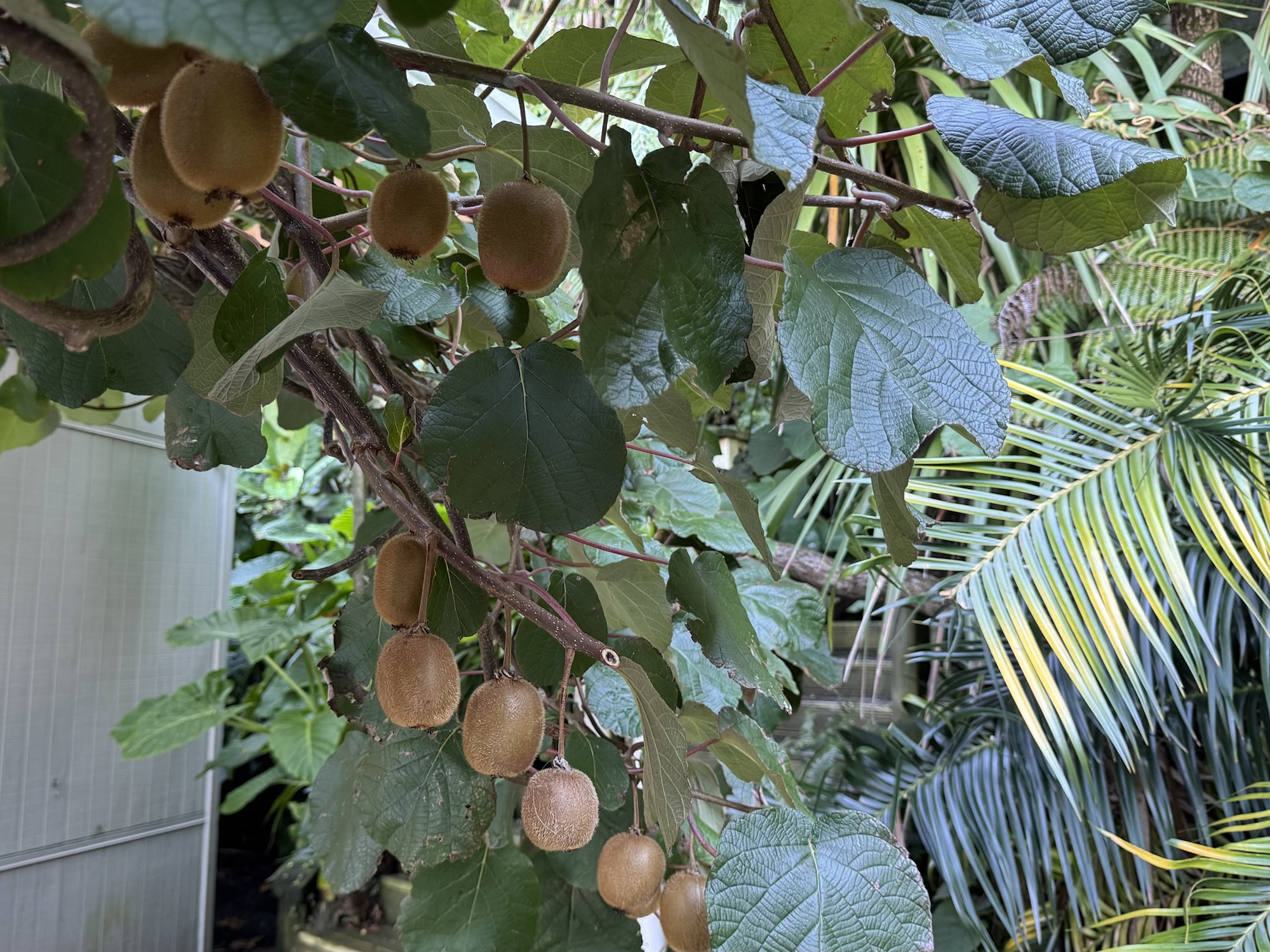 Coromandel Adventure – Part&nbsp;1