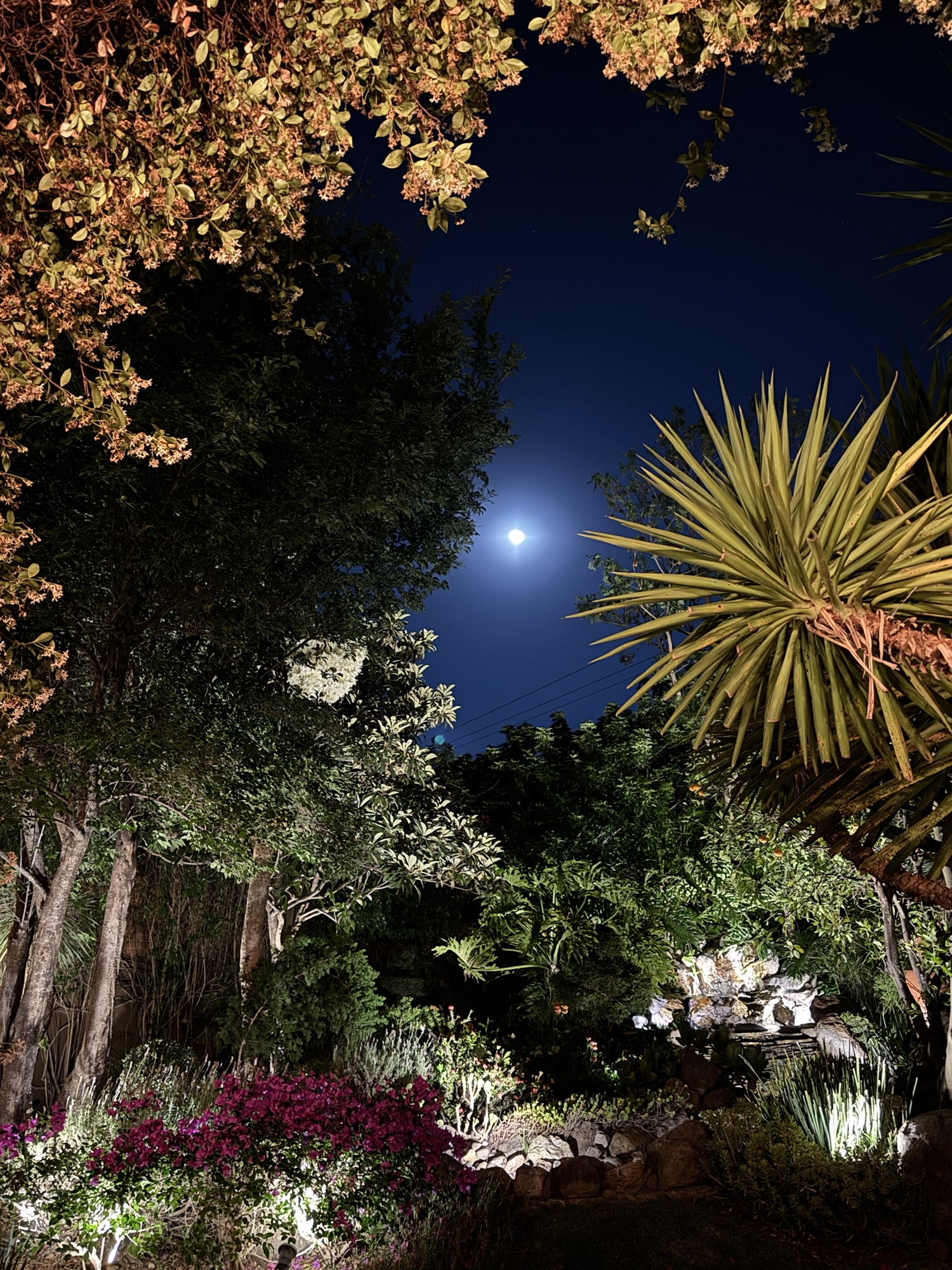 (Roam)ing in San Miguel de Allende – Belmond Casa Sierra&nbsp;Nevada
